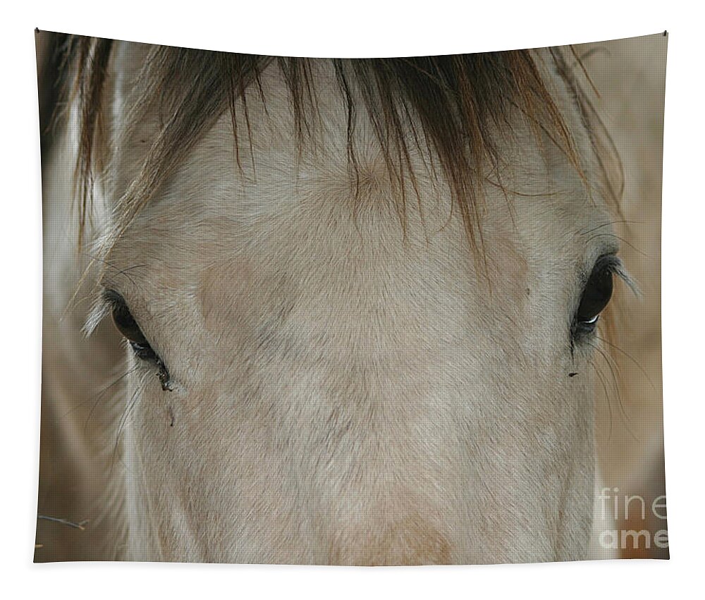 Horse Tapestry featuring the photograph Goldilocks by Living Color Photography Lorraine Lynch