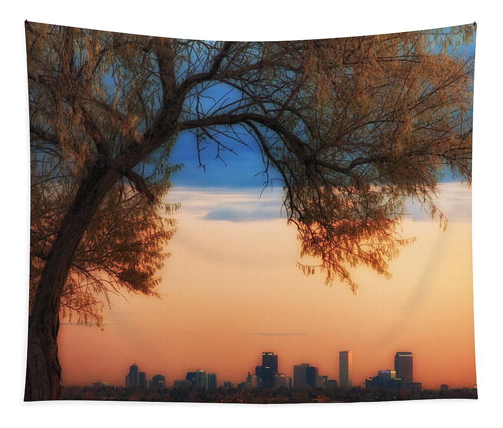 Denver Tapestry featuring the photograph Good Morning Denver by Darren White