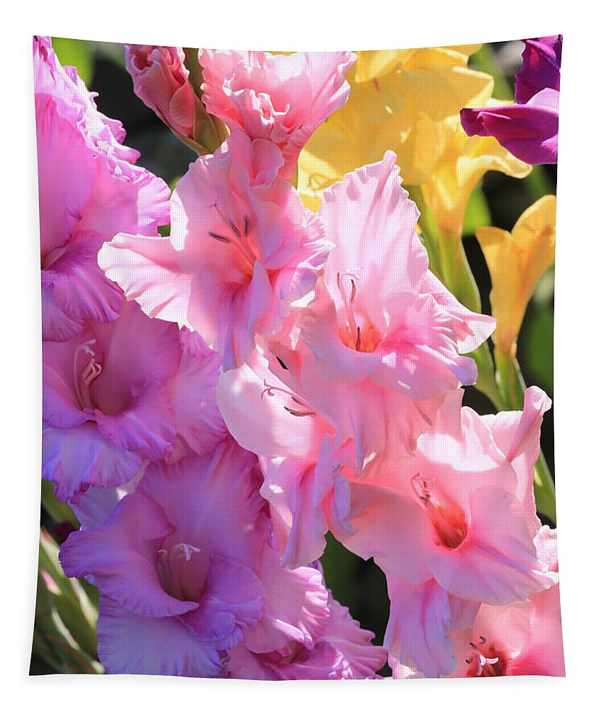 Gladiolus In Morning Sunshine Tapestry featuring the photograph Good Morning Gladiolus by Carol Groenen