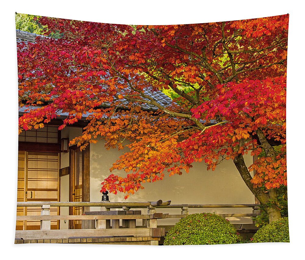 Portland Japanese Garden Tapestry featuring the photograph Good morning maple by Kunal Mehra