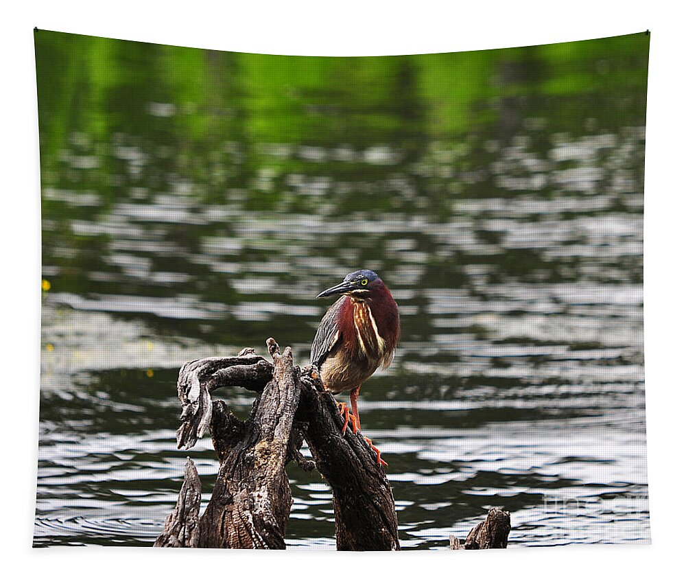 Heron Tapestry featuring the photograph Gorgeous Green Heron by Al Powell Photography USA