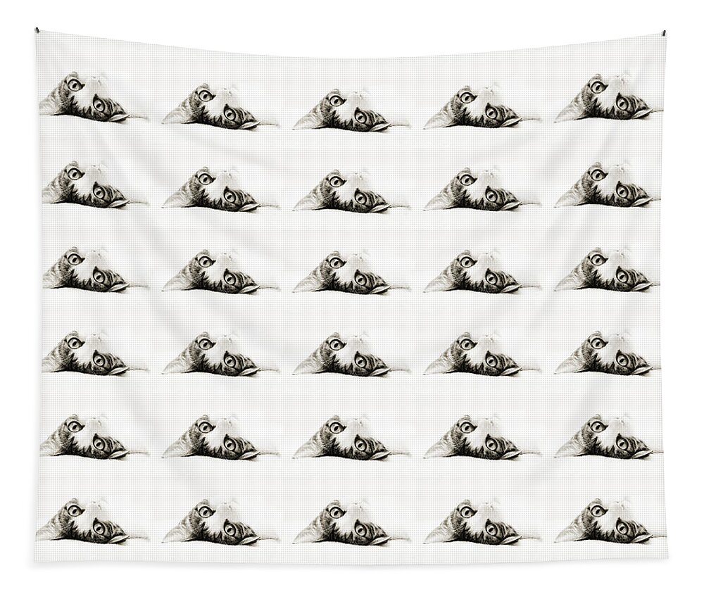 Andee Design Cat Tapestry featuring the photograph Grand Kitty Cuteness BW 40 by Andee Design