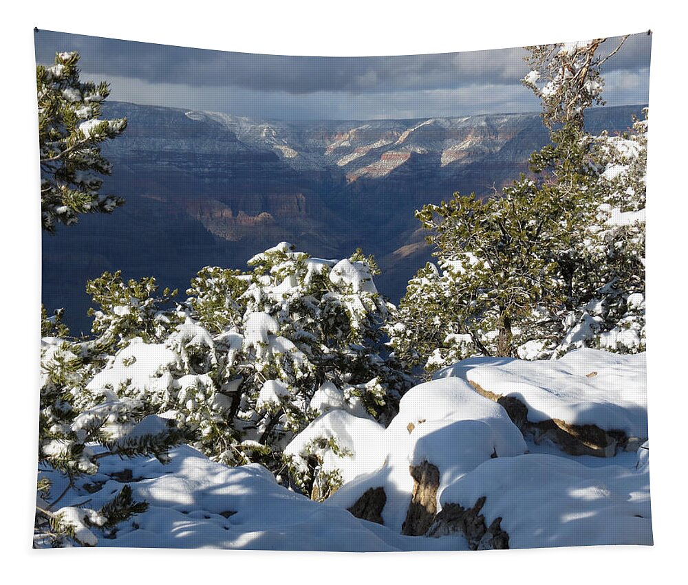 Grand Canyon Tapestry featuring the photograph Grand by Laurel Powell
