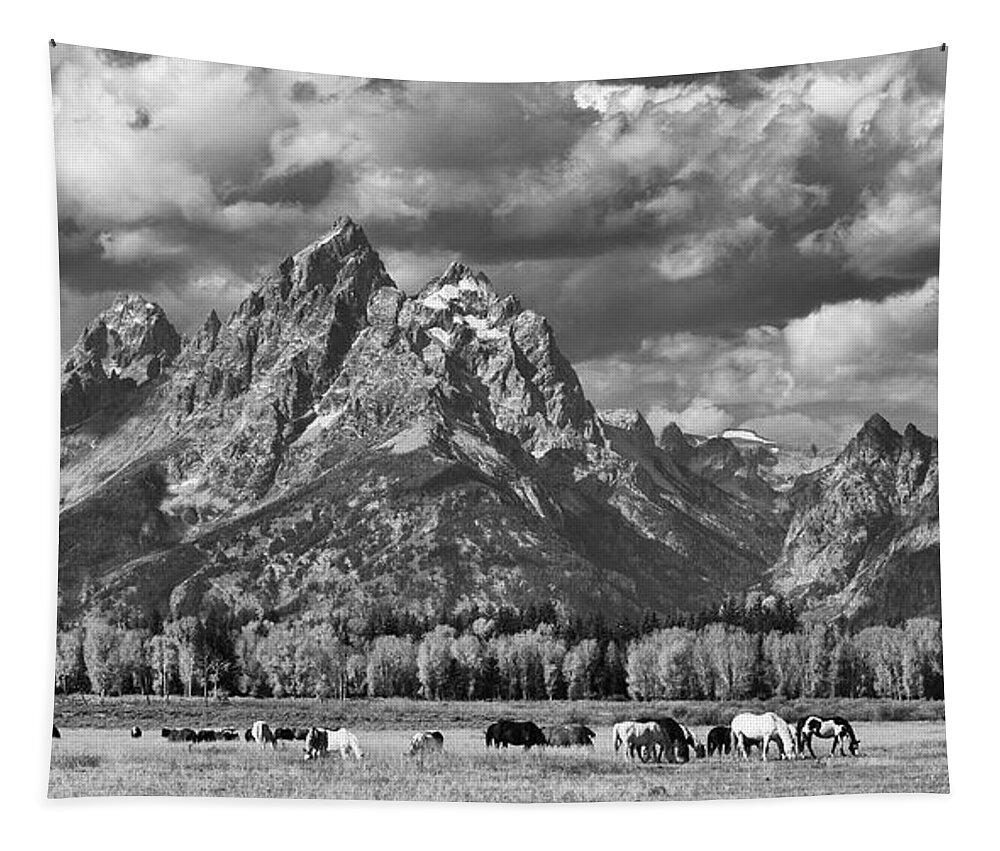 Grand Teton National Park Tapestry featuring the photograph Grand Teton Horses by Max Waugh