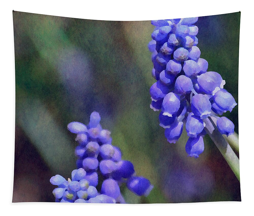 Flower Tapestry featuring the photograph Grape Hyacinth by Deena Stoddard