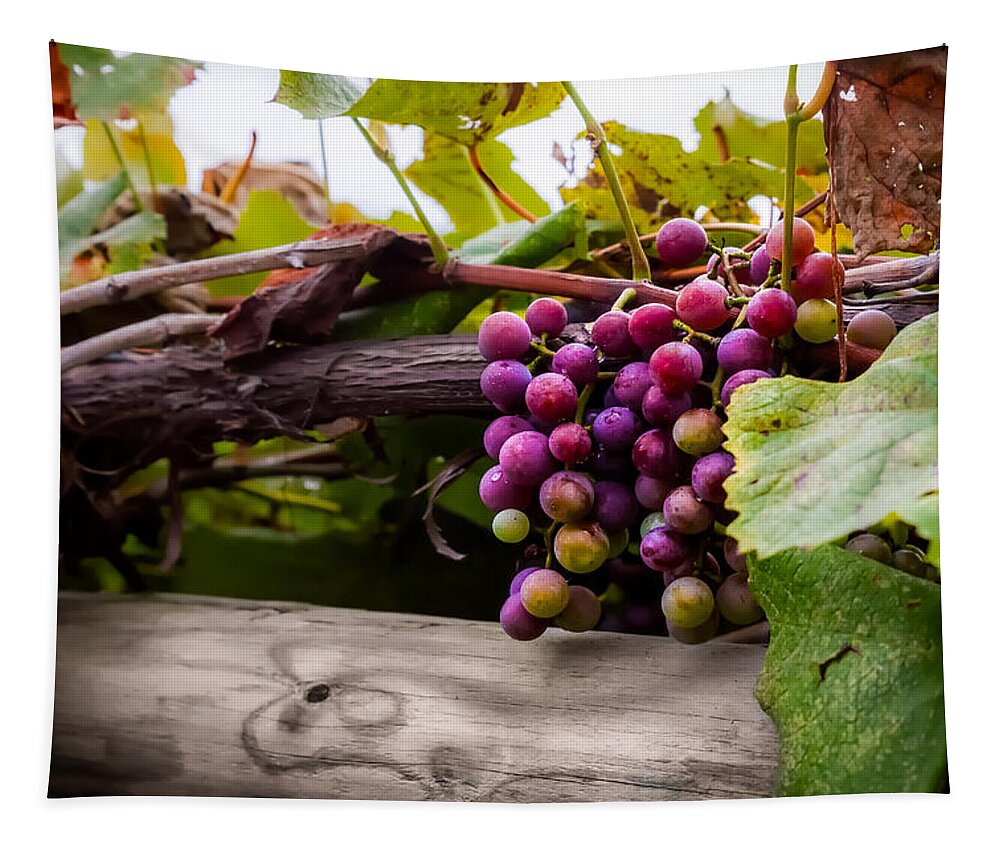 Grape Tapestry featuring the photograph Grapes on the Vine by Ron Pate