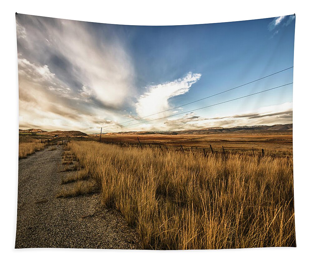 Road Tapestry featuring the photograph Grass Growing Along A Gravel Road by Marg Wood