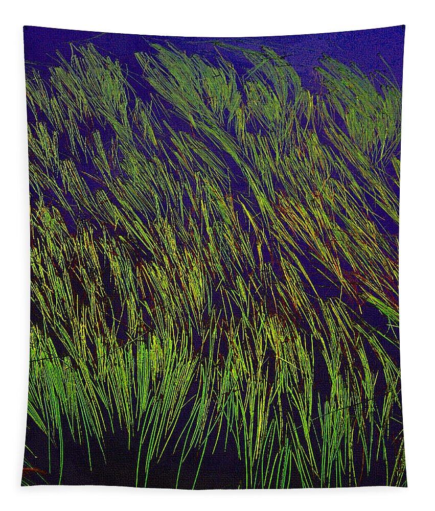 Grass In The Water Tapestry featuring the photograph Grass In The Lake by Tom Janca