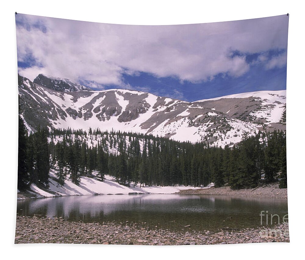 Great Basin National Park Tapestry featuring the photograph Great Basin National Park by Mark Newman