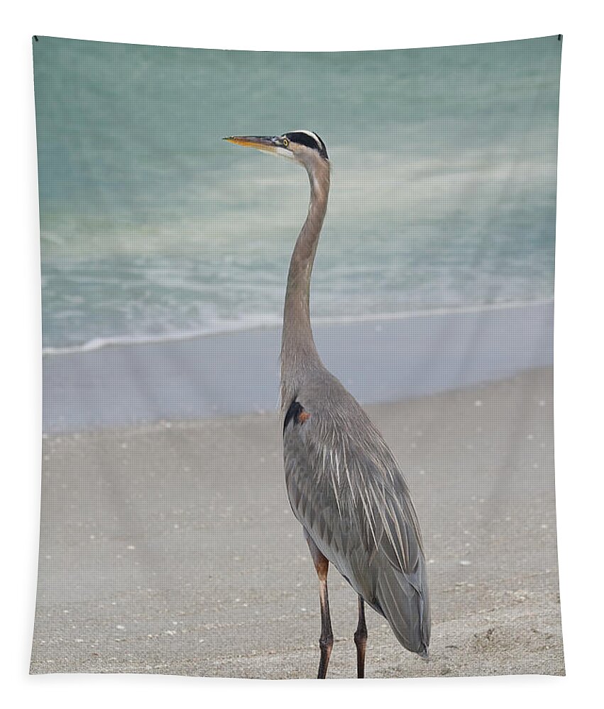 Great Blue Heron Tapestry featuring the photograph Great Blue Heron by Kim Hojnacki