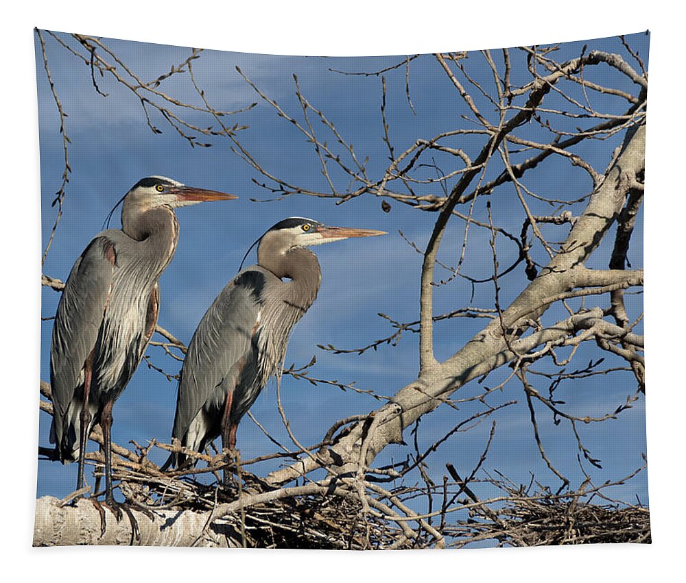 Great Blue Heron Tapestry featuring the photograph Great Blue Heron Mates by Kathleen Bishop