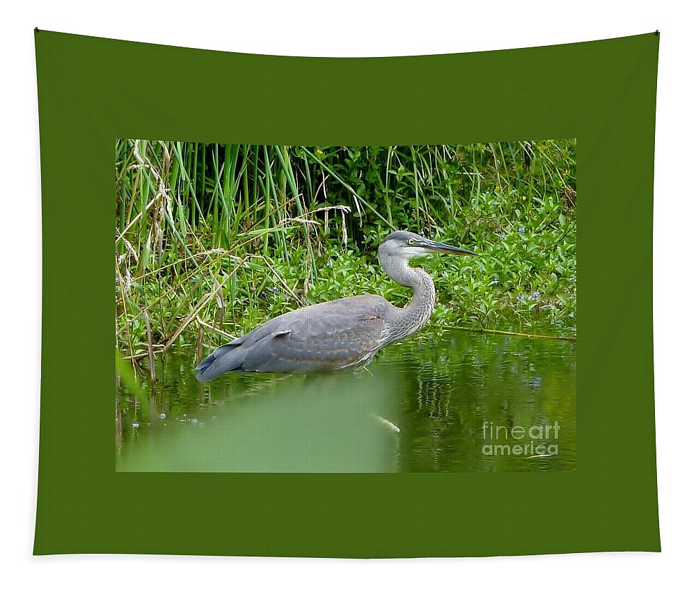 Blue Heron Tapestry featuring the photograph Great Blue Heron by Susan Garren