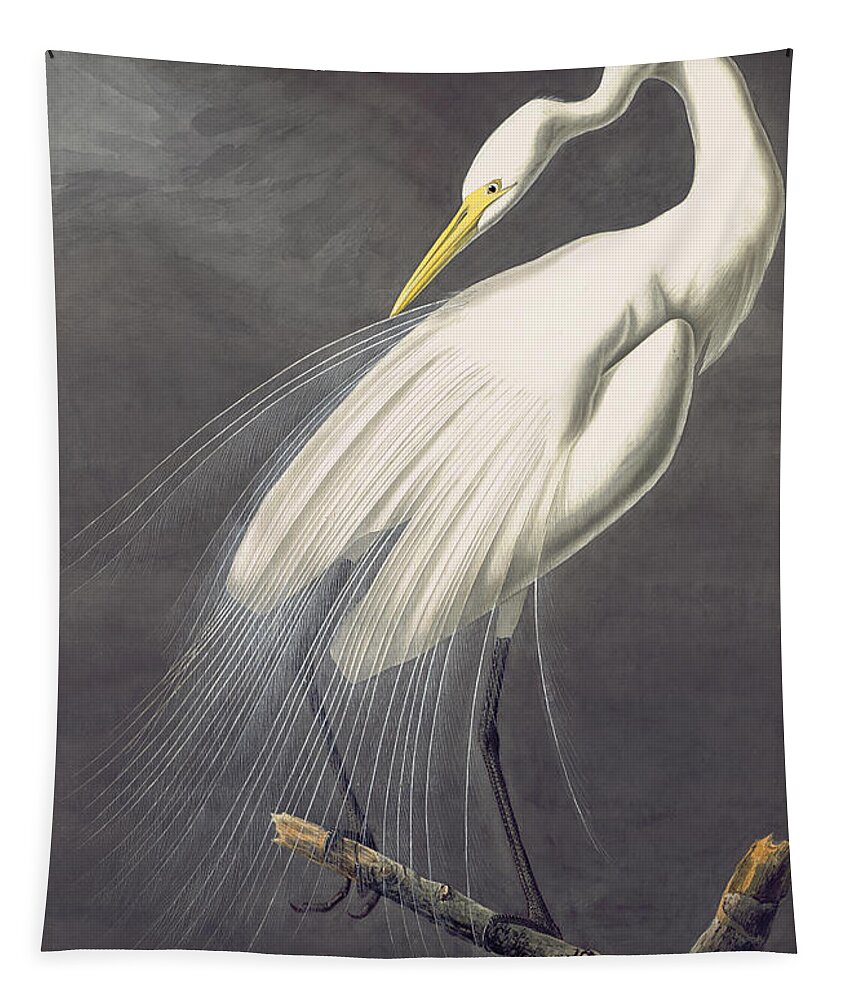 Audubon Watercolors Tapestry featuring the painting Great Egret by Celestial Images