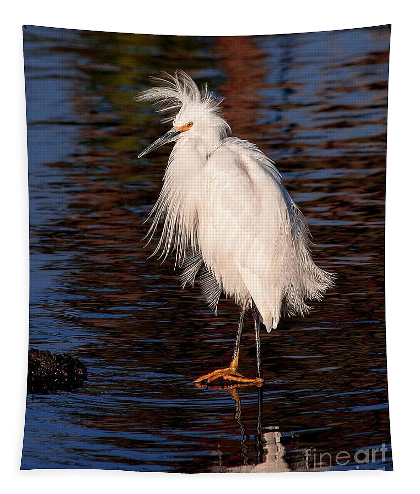 Great Egret Bird Photographs Tapestry featuring the photograph Great Egret Walking On Water by Jerry Cowart