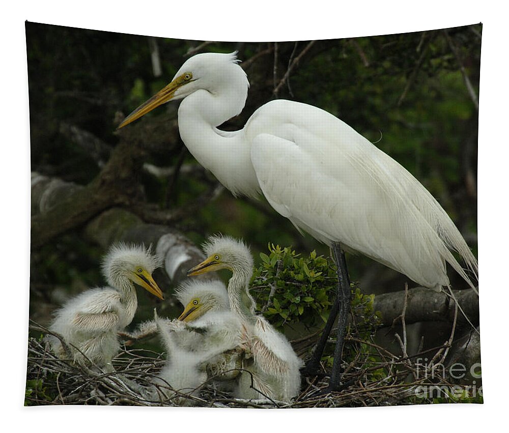 Great Egret Family Tapestry featuring the photograph Great Egret With Young by Bob Christopher