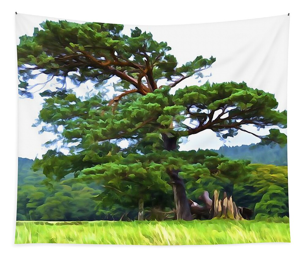 Pine Tree Tapestry featuring the photograph Great Pine by Norma Brock