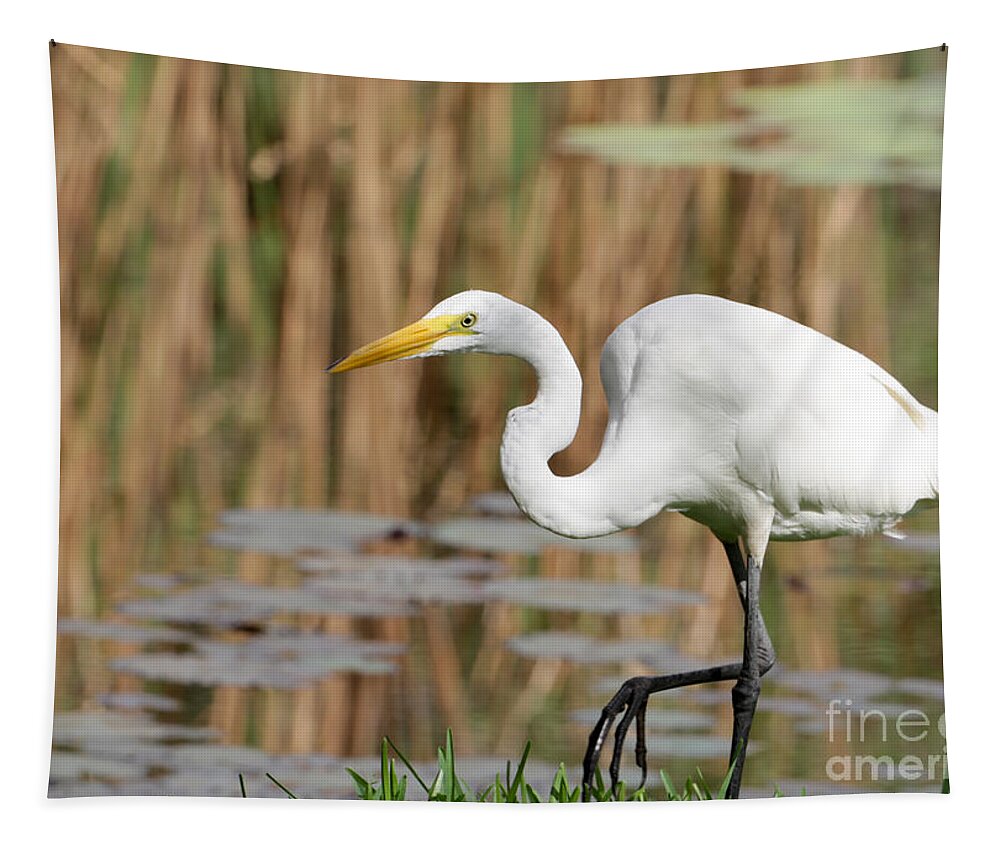 Egret Tapestry featuring the photograph Great White Egret by the River by Sabrina L Ryan