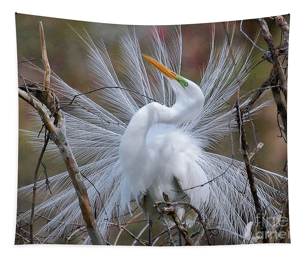 Birds Tapestry featuring the photograph Great White Egret With Breeding Plumage by Kathy Baccari