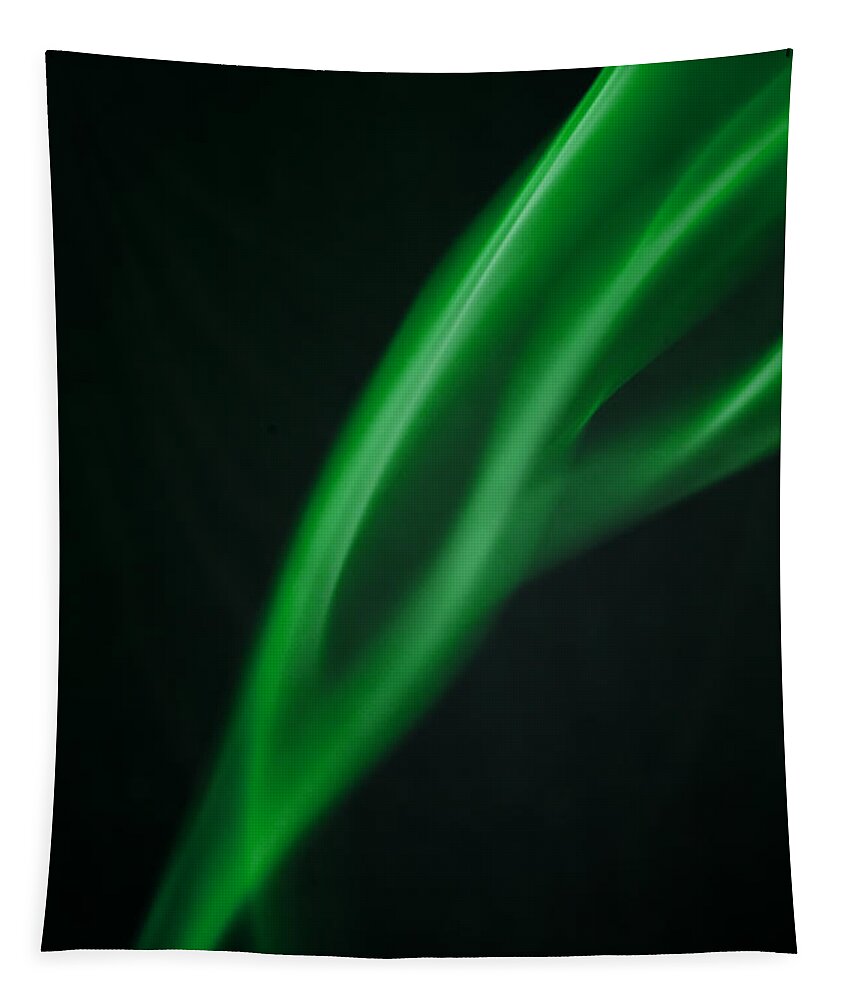 Smoke Abstract Tapestry featuring the photograph Green smoke abstract by Michalakis Ppalis