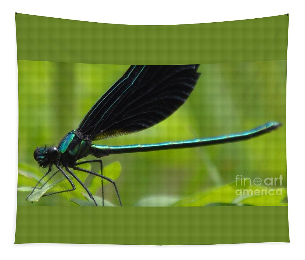 Damselfly Tapestry featuring the photograph Green Damselfly by Lynellen Nielsen