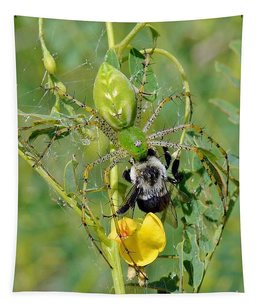 Spider Tapestry featuring the photograph Green Lynx Spider With Prey by Kathy Baccari