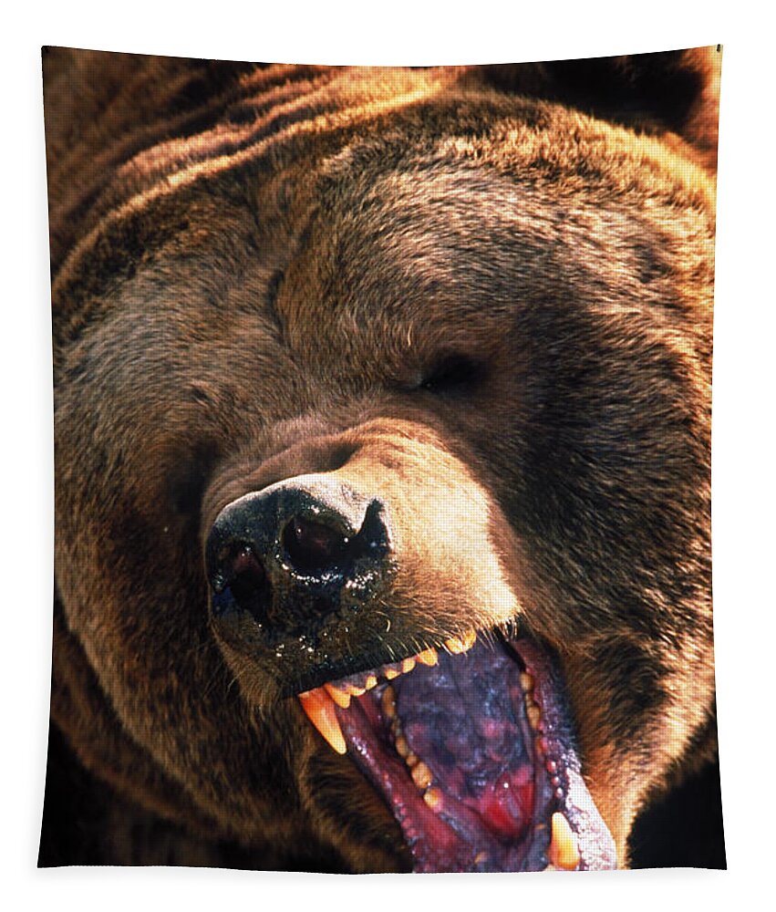 Grizzly Bear Tapestry featuring the photograph Grizzly Bear Snarling by Mark Newman
