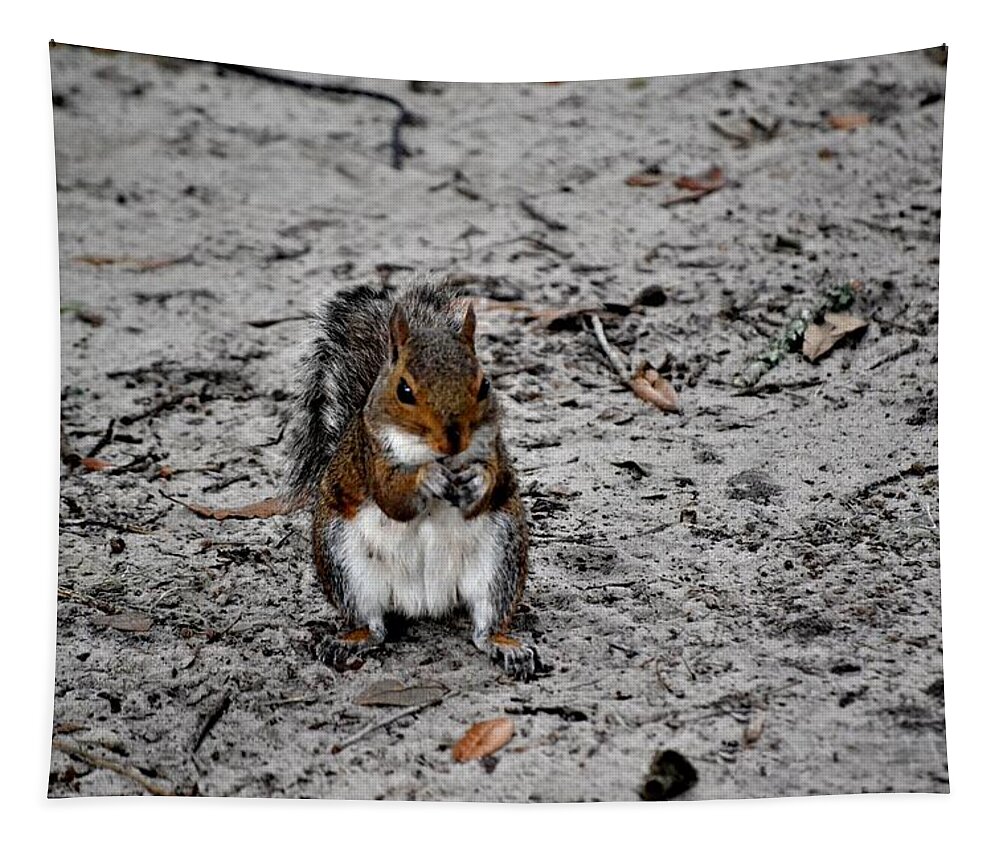 Squirrel Tapestry featuring the photograph Ground Squirrel by Tara Potts