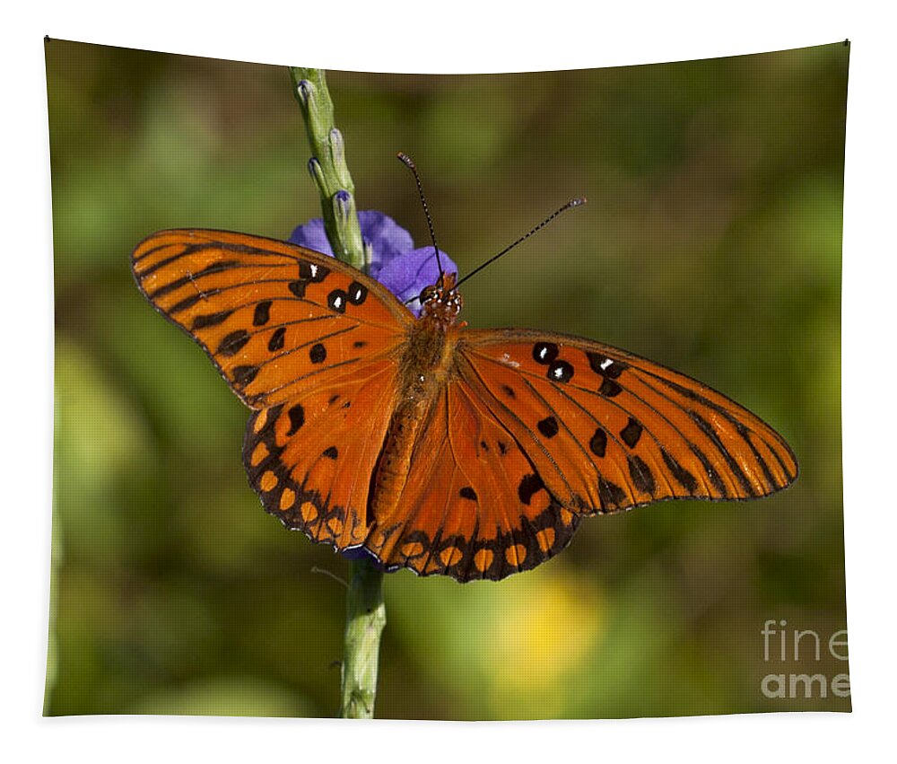 Butterfly Tapestry featuring the photograph Gulf Fritillary Butterfly by Meg Rousher