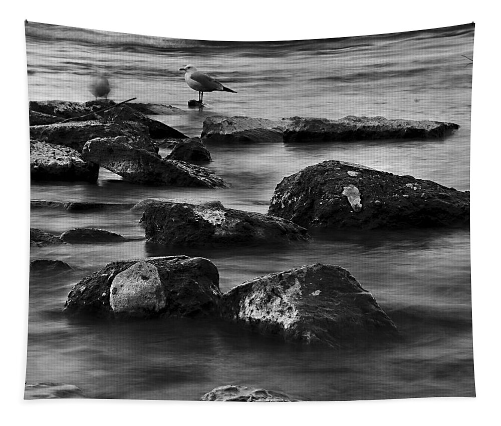 Rocks Tapestry featuring the photograph Gull Rock by Rod Sterling