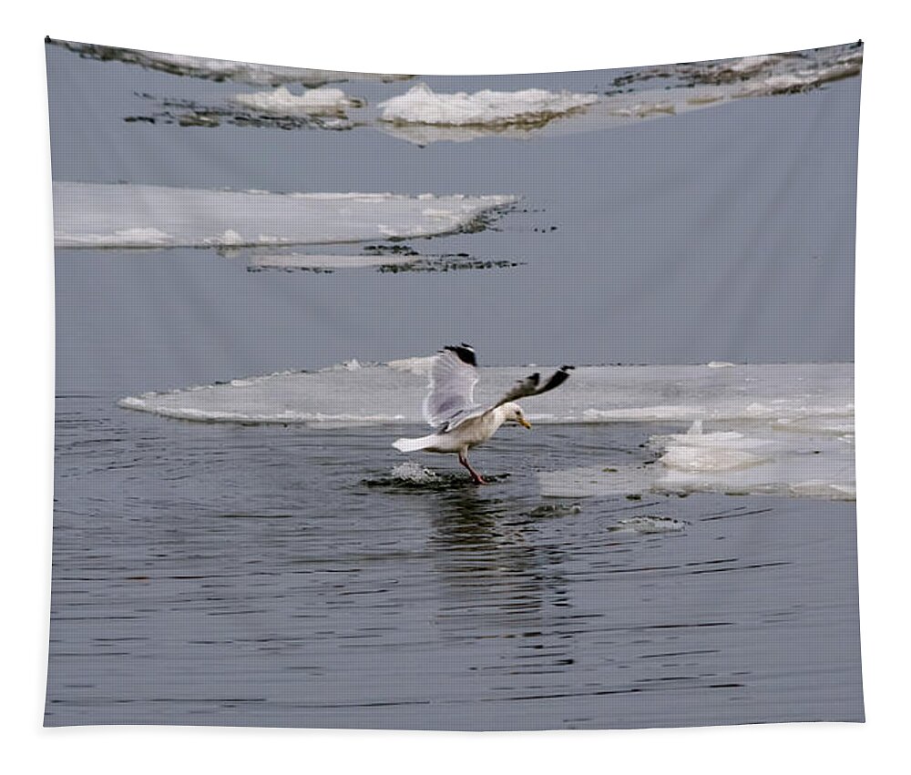 Gull Tapestry featuring the photograph Gull Standing On Thin Ice by Holden The Moment