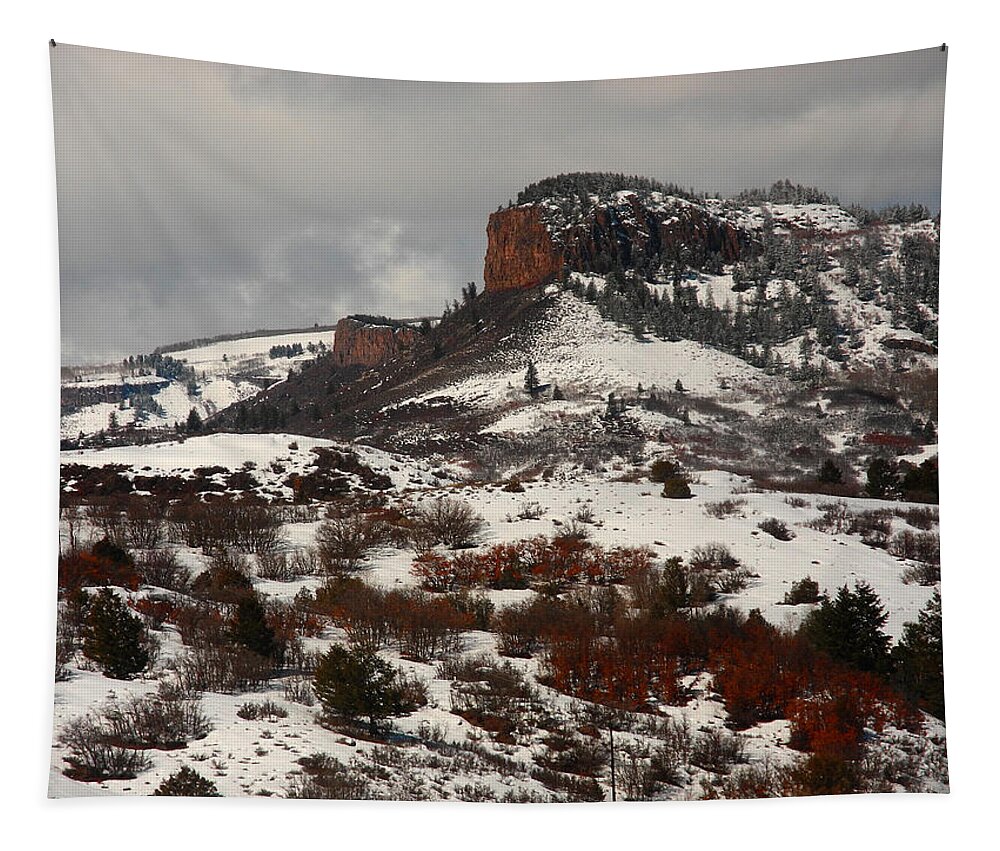 Gunnison National Park Tapestry featuring the photograph Gunnison National Park by Raymond Salani III