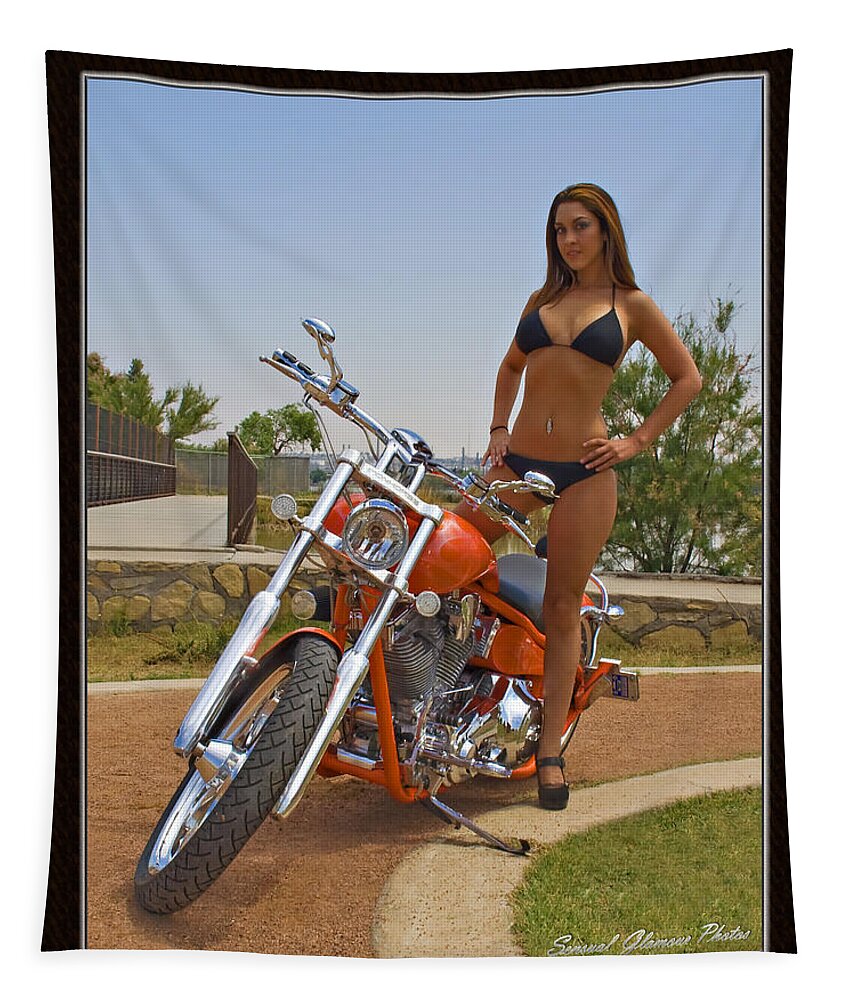  Tapestry featuring the photograph H-D_c by Walter Herrit