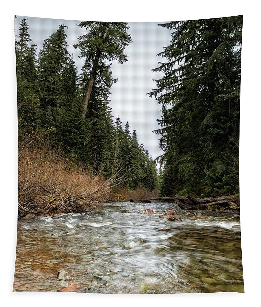 Hackleman Creek Tapestry featuring the photograph Hackleman Creek by Belinda Greb