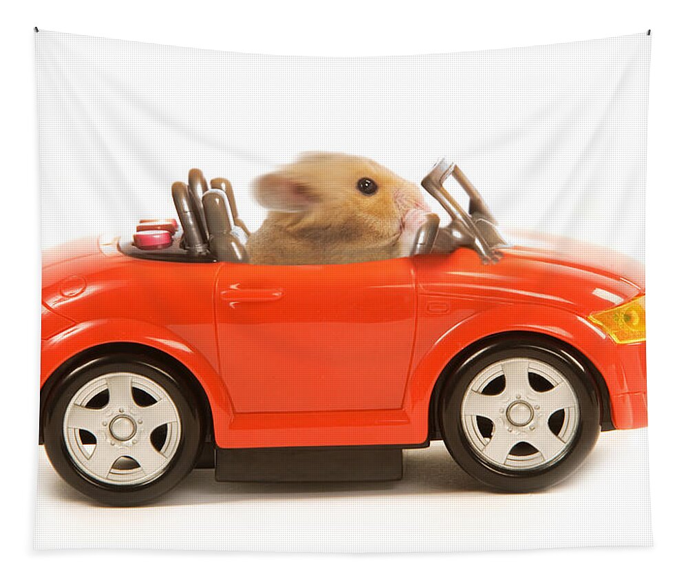 Hamster Tapestry featuring the photograph Hamster Driving Car by Jean-Michel Labat