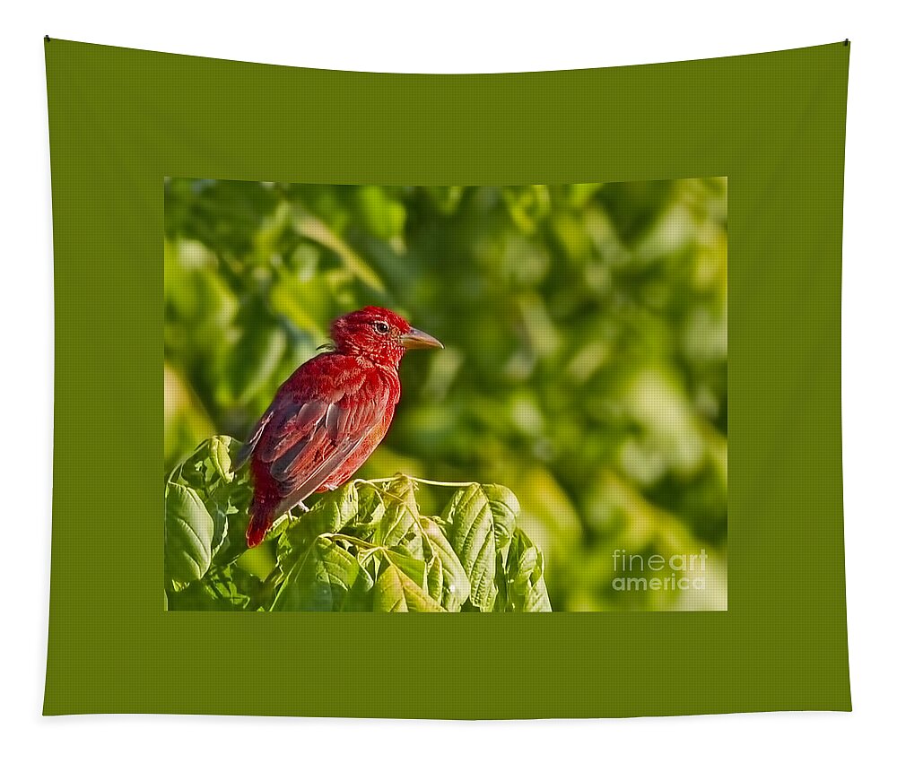 Handsome Young Fellow Tapestry featuring the photograph Handsome Young Fellow by Gary Holmes