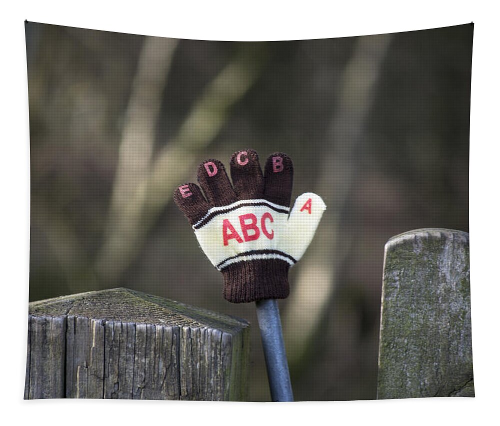 Glove Tapestry featuring the photograph Handy by Spikey Mouse Photography