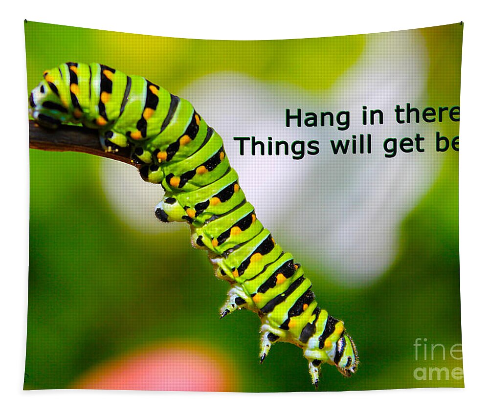 Greeting Cards Tapestry featuring the photograph Hang in There by Nina Silver
