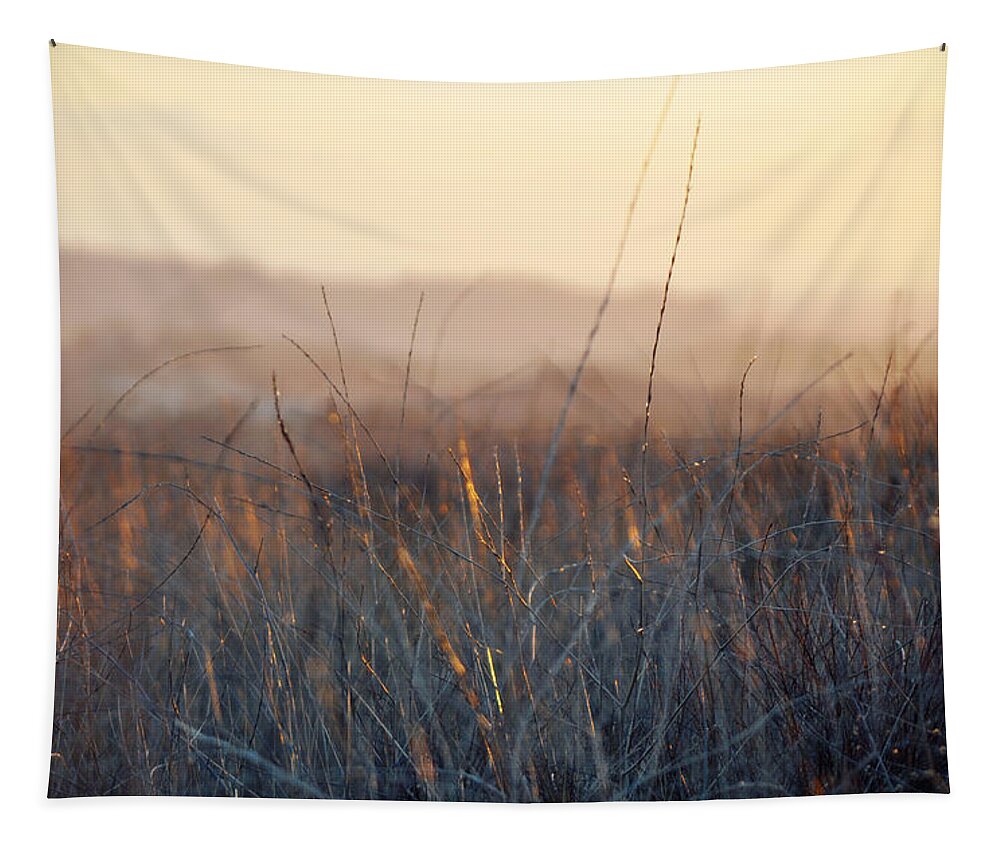 Happy Camp Canyon Tapestry featuring the photograph Happy Camp Canyon Magic Hour by Kyle Hanson