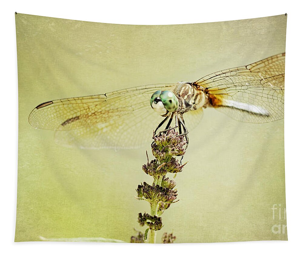 Insect Tapestry featuring the photograph Happy Dragon by Pam Holdsworth