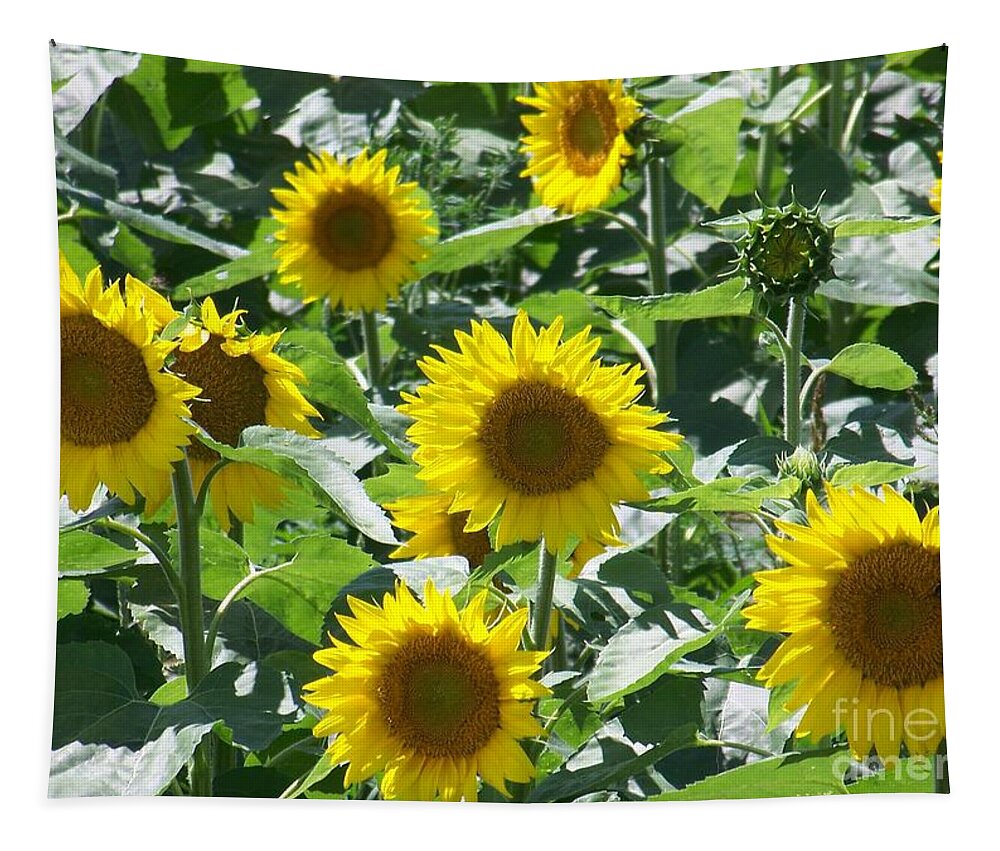 Sunflowers Tapestry featuring the photograph Happy Faces by Jackie Mueller-Jones