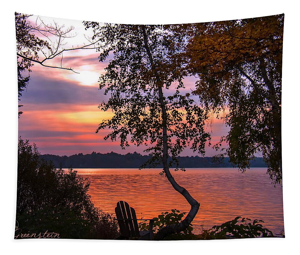 Lake Tapestry featuring the photograph Happy Hour by Cindy Greenstein