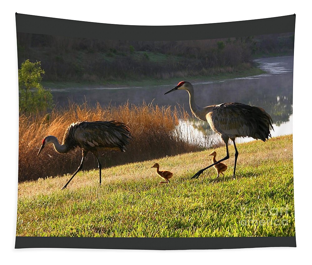 Sandhill Cranes Tapestry featuring the photograph Happy Sandhill Crane Family by Carol Groenen