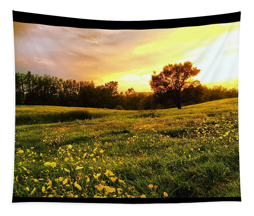 Sunset Tapestry featuring the photograph Happy Valley by Angela Rath