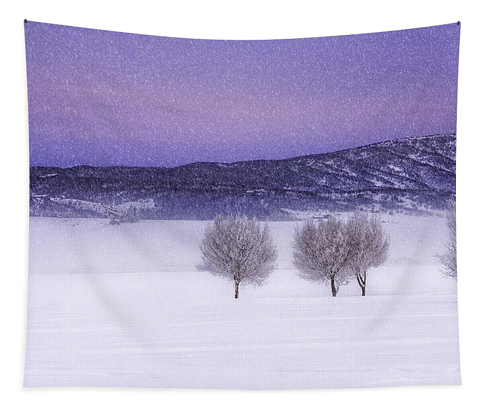 Snow Tapestry featuring the photograph Harmonious Vibrations by Kristal Kraft