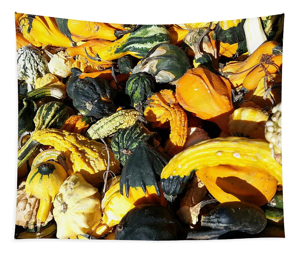Orange Tapestry featuring the photograph Harvest Squash by Caryl J Bohn