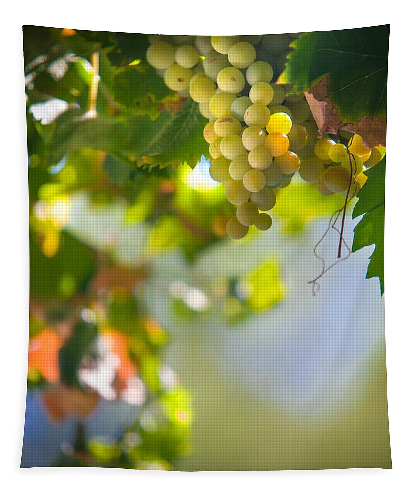 Grape Tapestry featuring the photograph Harvest Time. Sunny Grapes V by Jenny Rainbow