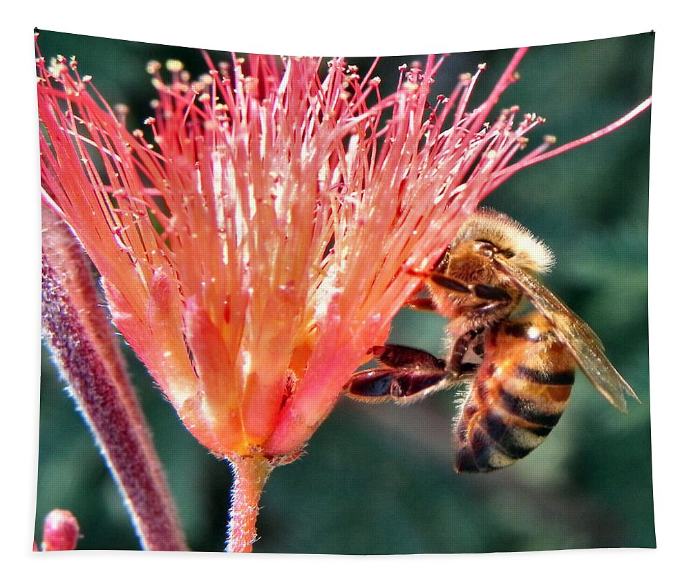 Bee Tapestry featuring the photograph Harvesting by Deb Halloran
