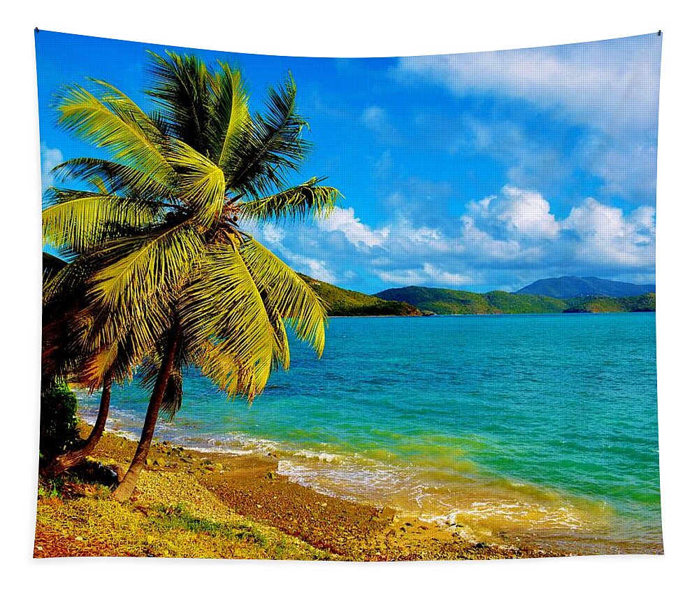 Virgin Islands Tapestry featuring the photograph Haulover Bay USVI by Tamara Michael