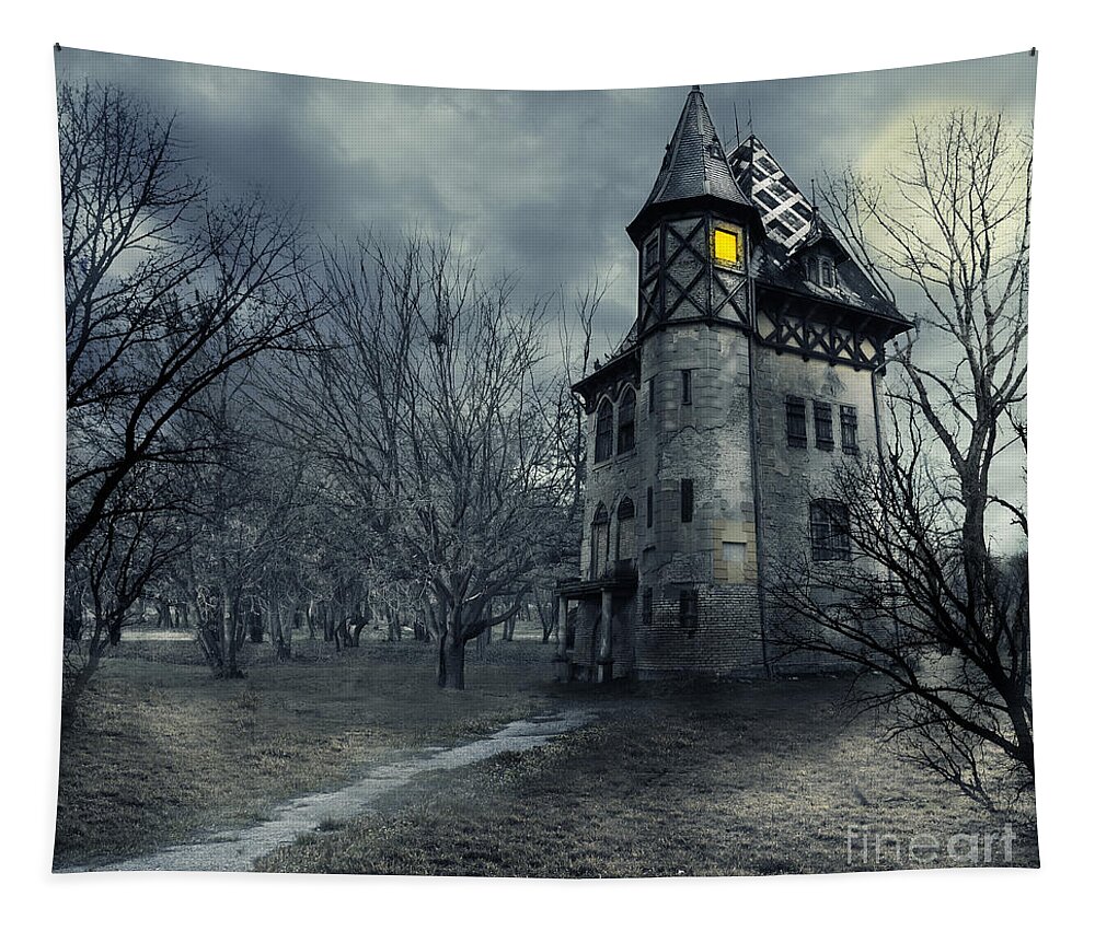 House Tapestry featuring the photograph Haunted house by Jelena Jovanovic
