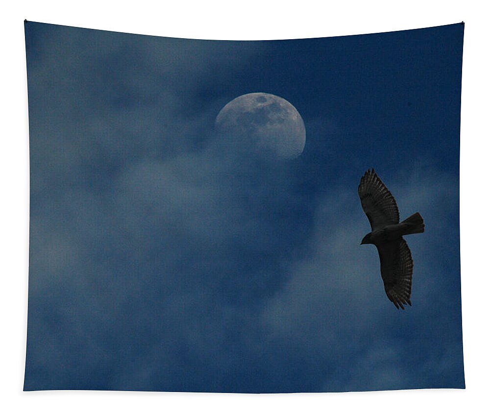 Hawk Tapestry featuring the photograph Hawk and Moon Coming Out of the Mist by Raymond Salani III